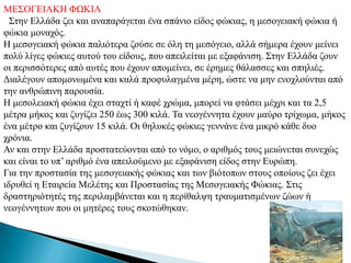 ΜΔ΢ΟΓΔΗΑΚΖ ΦΩΚΗΑ
  ΢ηελ Διιάδα δεη θαη αλαπαξάγεηαη έλα ζπάλην είδνο θώθηαο, ε κεζνγεηαθή θώθηα ή
θώθηα κνλαρόο.
Ζ κεζνγεηαθή θώθηα παιηόηεξα δνύζε ζε όιε ηε κεζόγεην, αιιά ζήκεξα έρνπλ κείλεη
πνιύ ιίγεο θώθηεο απηνύ ηνπ είδνπο, πνπ απεηιείηαη κε εμαθάληζε. ΢ηελ Διιάδα δνπλ
νη πεξηζζόηεξεο από απηέο πνπ έρνπλ απνκείλεη, ζε έξεκεο ζάιαζζεο θαη ζπειηέο.
Γηαιέγνπλ απνκνλσκέλα θαη θαιά πξνθπιαγκέλα κέξε, ώζηε λα κελ ελνρινύληαη από
ηελ αλζξώπηλε παξνπζία.
Ζ κεζνιεηαθή θώθηα έρεη ζηαρηί ή θαθέ ρξώκα, κπνξεί λα θηάζεη κέρξη θαη ηα 2,5
κέηξα κήθνο θαη δπγίδεη 250 έσο 300 θηιά. Σα λενγέλλεηα έρνπλ καύξν ηξίρσκα, κήθνο
έλα κέηξν θαη δπγίδνπλ 15 θηιά. Οη ζειπθέο θώθηεο γελλάλε έλα κηθξό θάζε δπν
ρξόληα.
Αλ θαη ζηελ Διιάδα πξνζηαηεύνληαη από ην λόκν, ν αξηζκόο ηνπο κεηώλεηαη ζπλερώο
θαη είλαη ην ππ’ αξηζκό έλα απεηινύκελν κε εμαθάληζε είδνο ζηελ Δπξώπε.
Γηα ηελ πξνζηαζία ηεο κεζνγεηαθήο θώθηαο θαη ησλ βηόηνπσλ ζηνπο νπνίνπο δεη έρεη
ηδξπζεί ε Δηαηξεία Μειέηεο θαη Πξνζηαζίαο ηεο Μεζνγεηαθήο Φώθηαο. ΢ηηο
δξαζηεξηόηεηέο ηεο πεξηιακβάλεηαη θαη ε πεξίζαιςε ηξαπκαηηζκέλσλ δώσλ ή
λενγέλλεησλ πνπ νη κεηέξεο ηνπο ζθνηώζεθαλ.
 