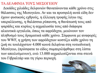 ΣΑ ΓΔΛΦΗΝΗΑ ΣΟΤ΢ ΜΔ΢ΟΓΔΗΟΤ
 Γεθάδεο ρηιηάδεο δειθηληώλ ζαλαηώλνληαη θάζε ρξόλν ζηηο
ζάιαζζεο ηεο Μεζνγείνπ. Αλ θαη ηα πξνζθηιή απηά είδε δελ
έρνπλ θπζηθνύο ερζξνύο, ε έιιεηςε ηξνθήο ιόγσ ηεο
ππεξαιίεπζεο, ε ζαιάζζηα ξύπαλζε, ε ζαλάησζή ηνπο από
ςαξάδεο θαη θπξίσο ε αηρκαισζία ηνπο από δηάθνξα
αιηεπηηθά εξγαιεία, όπσο ηα αθξόδηρηα, κεηώλνπλ ηνλ
πιεζπζκό ηνπο δξακαηηθά θάζε ρξόλν. ΢ύκθσλα κε αλαθνξέο
ηνπ WWF, ε ρξήζε ησλ αθξόδηρησλ θνζηίδεη θάζε ρξόλν ηε
δσή ζε ηνπιάρηζηνλ 4.000 θνηλά δειθίληα ζηε λνηηνδπηηθή
Μεζόγεην, (πξόζθαηα ην είδνο ζπκπεξηιήθζεθε ζηε ιίζηα
ησλ απεηινύκελσλ), ελώ 13.000 αηρκαισηίδνληαη ζηα ζηελά
ηνπ Γηβξαιηάξ θαη ηε γύξσ πεξηνρή.
 