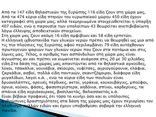 Από σα 147 είδη θηλαςσικών σηρ Ετπώπηρ 116 είδη ζοτν ςση φώπα μαρ.
Από σα 474 κύπια είδη πσηνών σοτ ετπψπαωκού φώποτ 450 είδη έφοτν
κασαγπαυεί ςση φώπα μαρ, αλλά σεκμηπιψμένα ςσοιφειοθεσείσαι η ύπαπξη
407 ειδών, ενώ η παποτςία σψν τπολοίπψν 43 θεψπείσαι ανεπιβεβαίψση
λόγψ έλλειχηρ αποδεικσικών ςσοιφείψν.
΢ση φώπα μαρ ζοτν ακόμη 16 είδη αμυιβίψν και 58 είδη εππεσών.
Η ελληνική ιφθτοπανίδα σψν γλτκών νεπών ππέπει να θεψπηθεί ψρ μια από
σιρ πιο πλούςιερ σηρ Ετπώπηρ αυού πεπιλαμβάνει 79 είδη ατσόφθονψν
ππψσογενών χαπιών σψν γλτκών νεπών ποτ ζοτν ςσα ποσάμια και ςσιρ
λίμνερ μαρ. Σέλορ, ο απιθμόρ σψν αςπόνδτλψν ςση φώπα μαρ είναι
άγνψςσορ αν και ππέπει να κτμαίνεσαι ανάμεςα ςσιρ 20 με 30 φιλιάδερ
είδη.΢σα δάςη σηρ φώπαρ μαρ απανσώνσαι από σα θηλαςσικά
απκούδερ, λύκοι, σςακάλια, κοτνάβια, ςκίοτποι, ντυίσςερ, αγπιογούποτνα, ε
λάυια, ζαπκάδια, αςβοί, πολλά είδη πονσικών, ςκανσζόφοιποι, διάυοπα
είδη μτγαλίδψν, λαγοί κ.ά. , ενώ σα κύπια είδη σψν ποτλιών είναι
δπτοκολάπσερ, οπεινέρ
πέπδικερ, αεσοί, γεπάκια, κοτκοτβάγιερ, μπούυοι, όπνια, κούκοι, υάςερ, υα
ςοπεπίςσεπα, αηδόνια, ςπίνοι, καπδεπίνερ, σα ςπάνια είδη
αγπιόκοτπκορ, βαςιλαεσόρ, θαλαςςαεσόρ κ.ά.
Είναι βέβαια ππουανέρ όσι σόςο σο κτνήγι όςο και οι τπόλοιπερ
ανθπώπινερ δπαςσηπιόσησερ ςσα δάςη σηρ φώπαρ μαρ έφοτν πεπιοπίςει σον
πληθτςμό πολλών ειδών και έφοτν τποβαθμίςει ςοβαπά σην ελληνική
πανίδα.
 