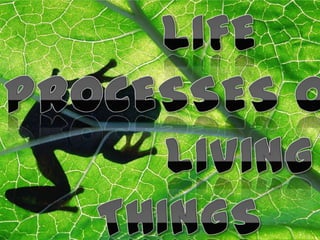 Life processes of living things
