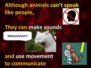 Although animalsAlthough animals can’t speakcan’t speak
like people,like people,
They canThey can make soundsmake sounds
andand use movementuse movement
to communicateto communicate
MIAUUUUUU!!!
 