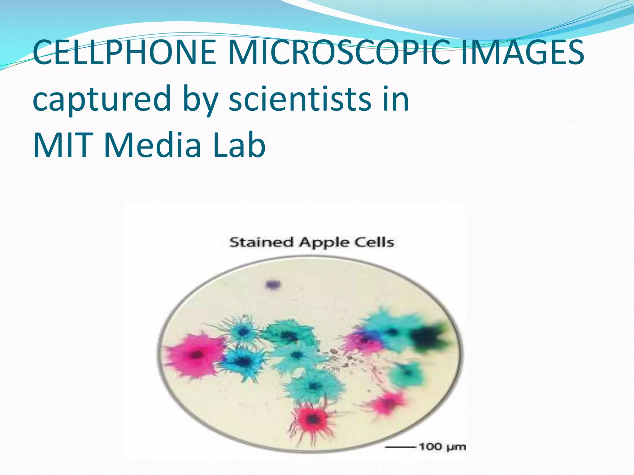CELLPHONE MICROSCOPIC IMAGES
captured by scientists in
MIT Media Lab

 