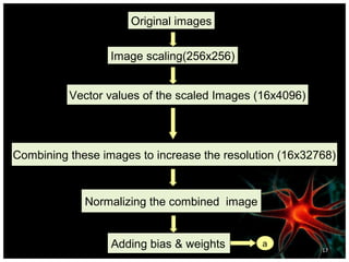 Original images
Image scaling(256x256)
Vector values of the scaled Images (16x4096)

Combining these images to increase the resolution (16x32768)

Normalizing the combined image

Adding bias & weights
Bukarica Leto, bleto@rcub.bg.ac.rs

a

17

 