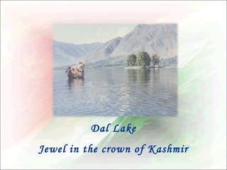 Dal Lake
Jewel in the crown of Kashmir

 