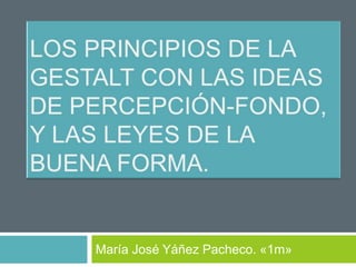 María José Yáñez Pacheco. «1m»

 