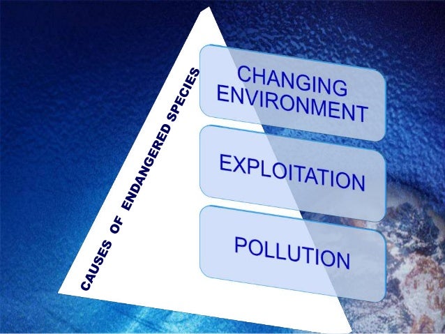 Explain endangered and endemic species of india picture