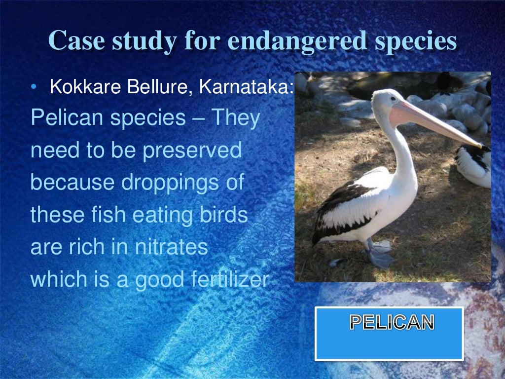 ENDANGERED AND ENDEMIC SPECIES