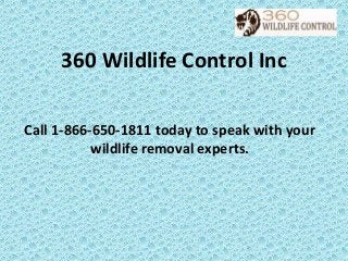360 Wildlife Control Inc
Call 1-866-650-1811 today to speak with your
wildlife removal experts.

 