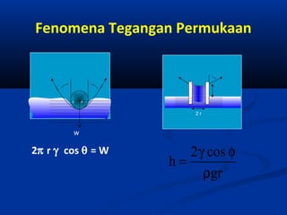 Fenomena Tegangan Permukaan

r

r
2r

w

2π r γ cos θ = W

2 γ cos φ
h=
ρgr

 
