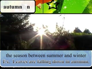 autumn n

the season between summer and winter

 