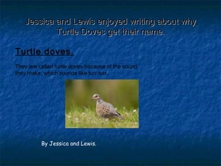 Jessica and Lewis enjoyed writing about whyJessica and Lewis enjoyed writing about why
Turtle Doves get their name.Turtle Doves get their name.
Turtle doves.
 
They are called turtle doves because of the sound
they make, which sounds like turr turr.
By Jessica and Lewis.
 