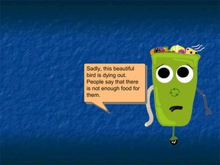 Sadly, this beautiful
bird is dying out.
People say that there
is not enough food for
them.
Sadly, this beautiful
bird is dying out.
People say that there
is not enough food for
them.
 