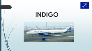 INDIGO
 