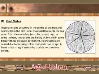 (1) Heart Shakes:
These are splits occurring in the centre of the tree and
running from the pith (inner most part) to wards the sap
wood from the medullary (vascular tissues) rays. In
some timbers, these splits are hardly visible and in some
timbers these are quite permanent. Heart shakes are
caused due to shrinkage of interior parts due to age. A
heart shake straight across the trunk is not a serious
defect.
 
