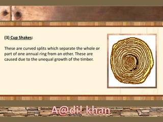 Timber - A Construction Material | PPTX