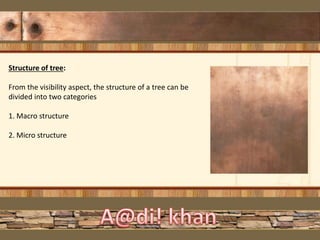Structure of tree:
From the visibility aspect, the structure of a tree can be
divided into two categories
1. Macro structure
2. Micro structure
 
