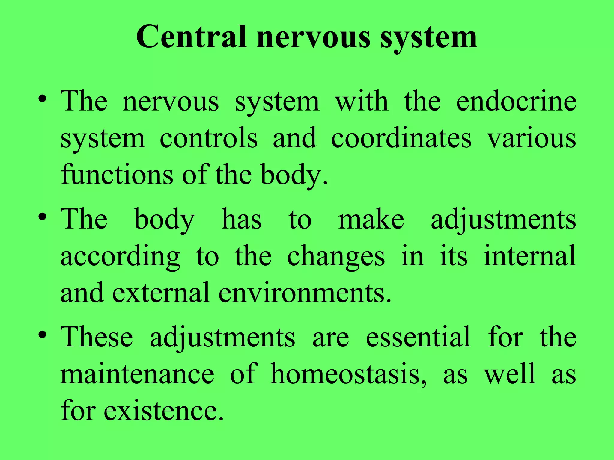 autonomic nervous system Ppt | PPT