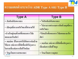 ความแตกต่างระหว่าง ADR Type A และ Type B
15-Aug-14 62
 
