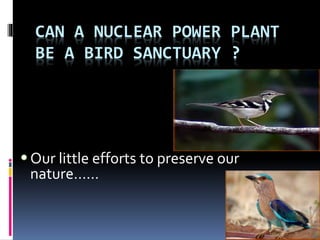 CAN A NUCLEAR POWER PLANT
BE A BIRD SANCTUARY ?
Our little efforts to preserve our
nature……
 