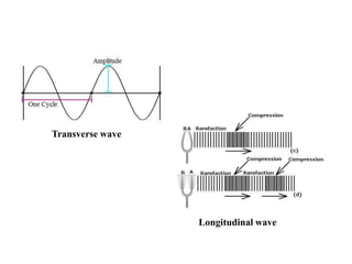 Profiling Longitudinal Wave PPT | PPTX