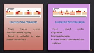 Transverse Wave Propagation Longitudinal Wave Propagation 
• Finger Impacts creates 
transverse waves(ripples) 
• Sensor is Activated as wave 
passes underneath it 
• Finger impact creates 
longitudinal 
(compressive)waves 
• Causes internal skeletal structure 
to vibrate. 
12 
 