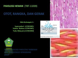 FISIOLOGI HEWAN (TBT-11039) 
OTOT, RANGKA, DAN GERAK 
Oleh Kelompok 1: 
Septyandari (123811002) 
Sailatu Rahma (123811003) 
Naily Hidayah ((123811004) 
TADRIS BIOLOGI FAKULTAS TARBIYAH 
IAIN WALISONGO SEMARANG 
2013 
