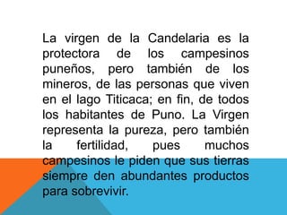 La virgen de la Candelaria es la 
protectora de los campesinos 
puneños, pero también de los 
mineros, de las personas que viven 
en el lago Titicaca; en fin, de todos 
los habitantes de Puno. La Virgen 
representa la pureza, pero también 
la fertilidad, pues muchos 
campesinos le piden que sus tierras 
siempre den abundantes productos 
para sobrevivir. 
 