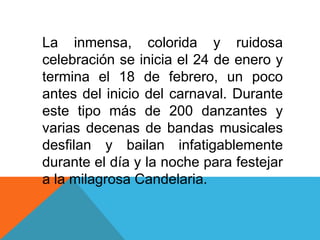 La inmensa, colorida y ruidosa 
celebración se inicia el 24 de enero y 
termina el 18 de febrero, un poco 
antes del inicio del carnaval. Durante 
este tipo más de 200 danzantes y 
varias decenas de bandas musicales 
desfilan y bailan infatigablemente 
durante el día y la noche para festejar 
a la milagrosa Candelaria. 
 