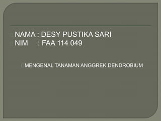 NAMA : DESY PUSTIKA SARI 
NIM : FAA 114 049 
MENGENAL TANAMAN ANGGREK DENDROBIUM 
 