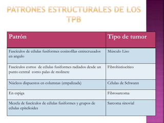 Patrón Tipo de tumor 
Fascículos de células fusiformes eosinofílas entrecruzados 
en angulo 
Músculo Liso 
Fascículos cortos de células fusiformes radiados desde un 
punto central como palas de molinete 
Fibrohistiocítico 
Núcleos dispuestos en columnas (empalizada) Células de Schwann 
En espiga Fibrosarcoma 
Mezcla de fascículos de células fusiformes y grupos de 
células epitelioides 
Sarcoma sinovial 
 