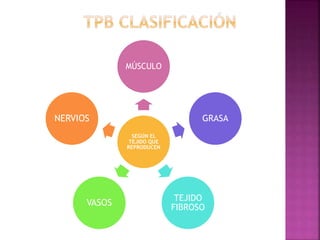 MÚSCULO 
SEGÚN EL 
TEJIDO QUE 
REPRODUCEN 
GRASA 
TEJIDO 
FIBROSO 
NERVIOS 
VASOS 
 