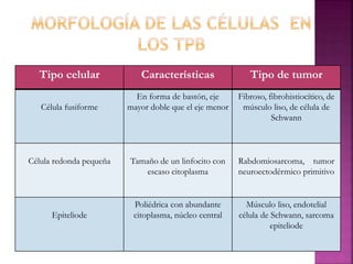 Tipo celular Características Tipo de tumor 
Célula fusiforme 
En forma de bastón, eje 
mayor doble que el eje menor 
Fibroso, fibrohistiocítico, de 
músculo liso, de célula de 
Schwann 
Célula redonda pequeña Tamaño de un linfocito con 
escaso citoplasma 
Rabdomiosarcoma, tumor 
neuroectodérmico primitivo 
Epiteliode 
Poliédrica con abundante 
citoplasma, núcleo central 
Músculo liso, endotelial 
célula de Schwann, sarcoma 
epiteliode 
 