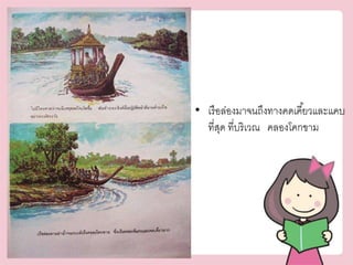 • เรือล่องมาจนถึงทางคดเคีย้วและแคบ 
ที่สุด ที่บริเวณ คลองโคกขาม 
 
