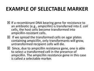 Recombinant DNA Technology | PPT