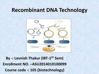 Recombinant DNA Technology 
By -: Lovnish Thakur (IBT-1ST Sem) 
Enrollment NO. –ASU2014010100099 
Course code -: 105 (biotechnology) 
 