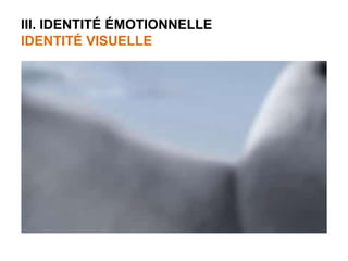 III. IDENTITÉ ÉMOTIONNELLE 
IDENTITÉ VISUELLE 
 