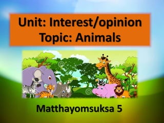 Unit: Interest/opinion 
Topic: Animals 
Matthayomsuksa 5 
 