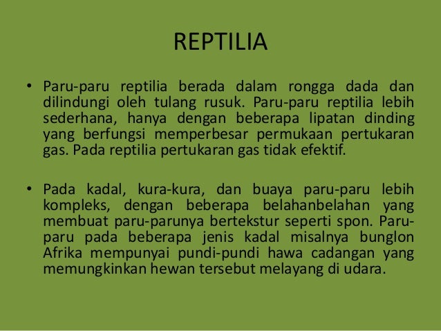Ppt Fisiologi Hewan