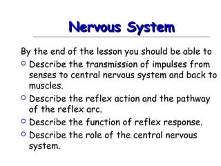 Nervous SystemNervous System
By the end of the lesson you should be able to
 Describe the transmission of impulses from
senses to central nervous system and back to
muscles.
 Describe the reflex action and the pathway
of the reflex arc.
 Describe the function of reflex response.
 Describe the role of the central nervous
system.
 