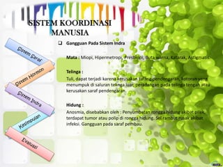  Gangguan Pada Sistem Indra
Mata : Miopi, Hipermetropi, Presbiopi, Buta warna, Katarak, Astigmatis.
Telinga :
Tuli, dapat terjadi karena kerusakan tulang pendengaran, kotoran yang
menumpuk di saluran telinga luar, peradangan pada telinga tengah atau
kerusakan saraf pendengaran.
Hidung :
Anosmia, disebabkan oleh : Penyumbatan rongga hidung akibat pilek,
terdapat tumor atau polip di rongga hidung. Sel rambut rusak akibat
infeksi. Gangguan pada saraf pembau.
 