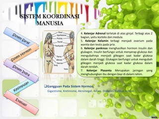 Gangguan Pada Sistem Hormon
Gigantisme, Kretinisme, Akromegali, Tetani, Diabetes melitus, Adison
4. Kelenjar Adrenal terletak di atas ginjal. Terbagi atas 2
bagian, yaitu korteks dan medula.
5. Kelenjar Kelamin terbagi menjadi ovarium pada
wanita dan testis pada pria.
6. Kelenjar pankreas menghasilkan hormon insulin dan
glukagon. Insulin berfungsi untuk menyerap glukosa dan
mengubahnya menjadi glikogen saat kadar glukosa
dalam darah tinggi. Glukagon berfungsi untuk mengubah
glikogen menjadi glukosa saat kadar glukosa dalam
darah rendah.
7. Kelenjar Plasenta Merupakan jaringan yang
menghubungkan ibu dengan bayi di dalam rahim.
 