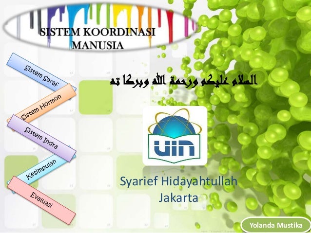 Ppt Sistem Koordinasi