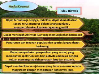 Dapat mencegah Aktivitas luar yang memungkinkan kerusakan
Penurunan dan tekanan populasi dan spesies langka dapat
terkurangi
Dapat terlindungi, terjaga, terkelola, dapat dimanfaatkan
secara terus menerus dalam jangka panjang ,
mempertahankan keanekaragaman genetik.
Dapat menyediakan pengelolaan yang sesuai, yang
mempunyai spektrum luas bagi aktivitas manusia dengan
tujuan utamanya adalah penataan laut dan estuaria.
Dapat memberikan kesejateraan yang terus menerus kepada
masyarakat dengan menciptakan konservasi laut.
Pulau Biawak
 