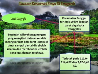 Terletak pada 111,0-
114,4 BT dan 7,12-8,48
LS.
Kecamatan Panggul
terletak 59 km sebelah
barat daya kota
trenggalek
Setengah wilayah pegunungan
yang mengitari dataran rendah
melingkar luas dari barat , utara ke
timur sampai pantai di sebelah
selatan dan membentuk lembah
yang luas dengan teluknya.
 