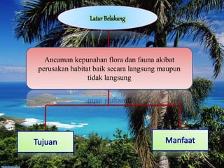 Ancaman kepunahan flora dan fauna akibat
perusakan habitat baik secara langsung maupun
tidak langsung
 