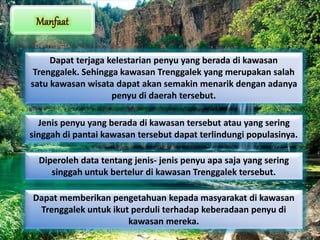 Dapat terjaga kelestarian penyu yang berada di kawasan
Trenggalek. Sehingga kawasan Trenggalek yang merupakan salah
satu kawasan wisata dapat akan semakin menarik dengan adanya
penyu di daerah tersebut.
Jenis penyu yang berada di kawasan tersebut atau yang sering
singgah di pantai kawasan tersebut dapat terlindungi populasinya.
Diperoleh data tentang jenis- jenis penyu apa saja yang sering
singgah untuk bertelur di kawasan Trenggalek tersebut.
Dapat memberikan pengetahuan kepada masyarakat di kawasan
Trenggalek untuk ikut perduli terhadap keberadaan penyu di
kawasan mereka.
 
