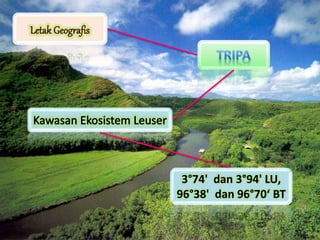 3°74' dan 3°94' LU,
96°38' dan 96°70‘ BT
 