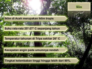 Temperatur tahunan di Tripa sekitar 26° C
Iklim di Aceh merupakan iklim tropis
Suhu rata-rata 25°-27° C sepanjang tahun
Tingkat kelembaban tinggi hingga lebih dari 90%.
Kecepatan angin pada umumnya rendah
 