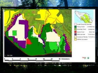 Ppt.biologi konservasi helvi musdarlia
