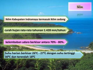 kelembaban udara berkisar antara 70% - 80%.
Iklim Kabupaten Indramayu termasuk iklim sedang
curah hujan rata-rata tahunan 1.428 mm/tahun
Suhu harian berkisar 260C - 270C dengan suhu tertinggi
300C dan terendah 180C
 